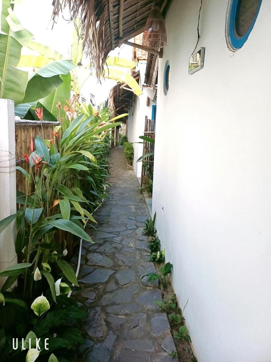 Cashew Tree Bungalow Hoi An Exterior foto